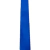 Royal Blue Tie