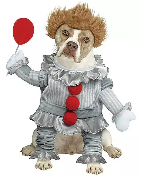 Pennywise Pet Costume 1 Pennywise Pet Costume